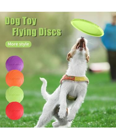 JSMTKJ Dog Frisbee Set - 4 Natural Rubber Flying Discs for Training & Play | Perfect Dog Toys in Orange Red Green Purple - Buy Online on GoSupps.com