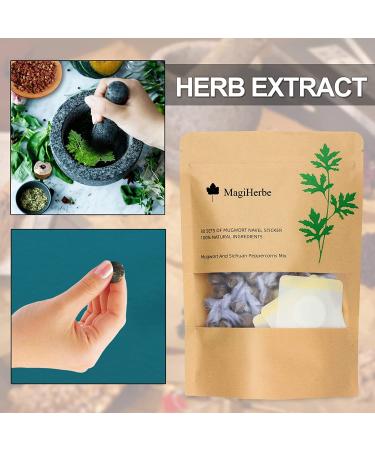 MagiHerbe Mugwort Navel Sticker 30PCS Wormwood Essence Pills & Belly Patch for Men and Women - Buy Online on GoSupps.com