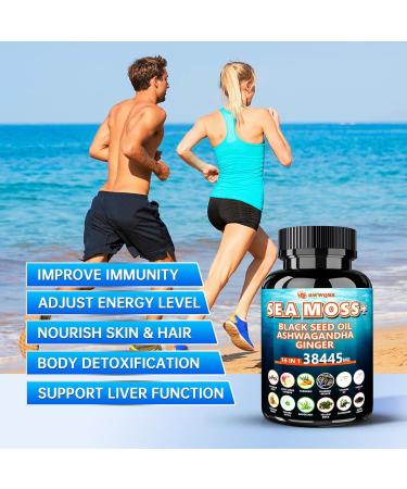 Ashwagandha Sea Moss Capsules with Black Seed Oil Ginger & Turmeric 16 in 1 Herbal Complex with Irish Sea Moss Apple Cider Vinegar Burdock Bladderwrack Vitamin C & D3 120 Capsules - Buy Online on GoSupps.com