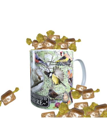 British Garden Birds Personalised Mug with Choice of Sweets Gift