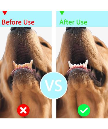 4 Pcs Dog Finger Toothbrush Nontoxic Silicone Dog Toothbrush Finger 360 Full Surround Cat Toothbrush Finger Toothbrush Dog for Dog Cat Puppy Pet Dental Care Health (Green)  - Buy Online on GoSupps.com