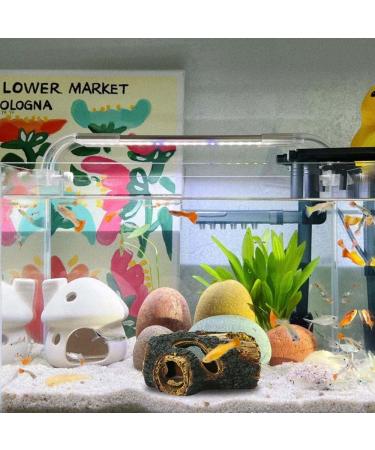 CTPENG Aquarium Cave - Kunst Resin Betta Decoration - Ideal for Small & Medium Aquariums (Harz 13.5x9x5.5 cm) - Buy Online on GoSupps.com