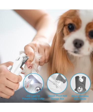 CIICII Dog/Cat Nail Clippers with LED Light Pet Nail Clipper - Dog Nail Trimmer with Built-in Nail File & Extra Dog Nail File for Small Medium Large Breed Dogs & Cats Claw Care Manual Dog Nail Clippers - Buy Online on GoSupps.com