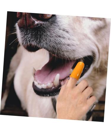 Housoutil Cat Chew Toothbrush 1 Set Pet Toothbrush Toothbrushes Dog Toothpaste Pet Tooth Care Brush Toothbrush Set The Dog - Buy Online on GoSupps.com