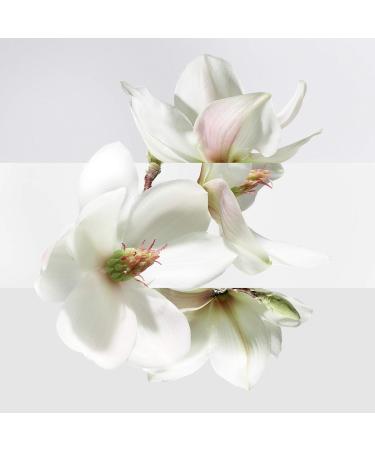 Un Jardin Sur La Lagune by Hermes for Women 3.3 oz Eau de Toilette Spray 3.3 Fl Oz (Pack of 1) - Buy Online on GoSupps.com