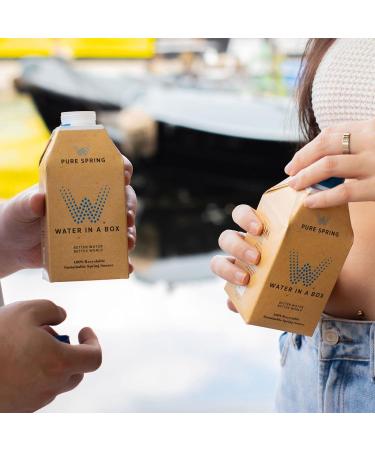 Water in a Box Flavoured Pure Spring Water 12 x 500ml Cartons | 100% Recyclable Packaging | Sustainably Sourced - Better Water for a Better World (Pure Spring) Pure Spring 6.00 l (Pack of 1) - Buy Online on GoSupps.com
