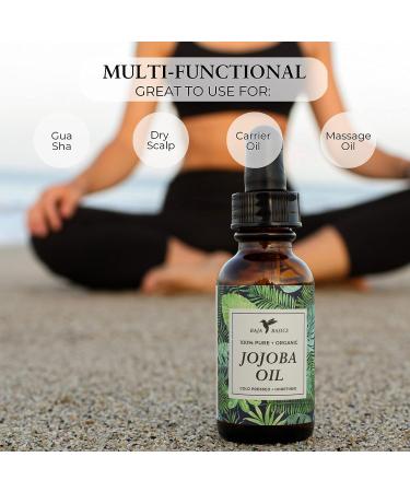 Baja Basics Organic Jojoba Oil - Cold Pressed, 100% Pure Moisturizer for Skin, Face, Body, Nails, and Hair - Anti-Aging Serum with Vitamin E - 4 oz - Buy Online on GoSupps.com