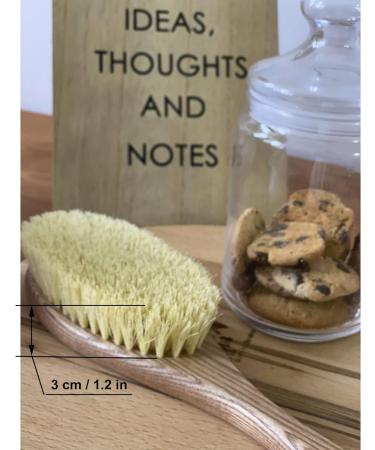 Natural Bristle Dry Skin Body Brush for Cellulite Exfoliation - Large Cactus Reclaire Massage Brush - Buy Online on GoSupps.com