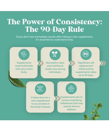 Advanced Brain Supplement for Memory and Focus - Nootropics Brain Support Supplement with Memory and Focus Vitamins for Adults of All Ages - for Brain Fog Clarity Energy and Recall - 2 Pack - Buy Online on GoSupps.com