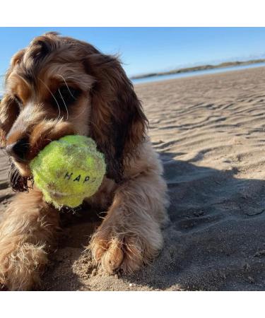 SPORTSPET Tennis Balls for Dogs - Extra Bouncy - Non Toxic - Durable - Long Lasting - Floats (12 Pack) (63.6mm) - Buy Online on GoSupps.com