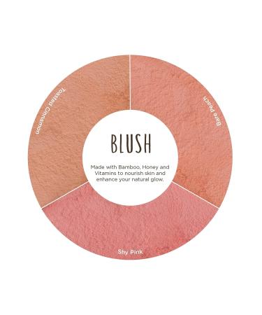 Burt's Bees 100% Natural Blush - Bare Peach (0.19 oz) | With Vitamin E - Buy Online on GoSupps.com