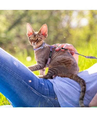 TIESOME Cat Harness and Leash Set Adjustable Gradient Kitten Harness Escape Proof Harness with Leash for Kitty Outdoor Walking (Gradient Purple) - Buy Online on GoSupps.com