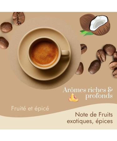 Caf Bonnac Caf En Grain Inde Malabar Moussonn 500gr | 100% Arabica Traditionnel | Notes De C r ales Poivre Doux Et Bois Sec | Torr faction Artisanale | Id al Machine Caf Grain 1 500 g (Lot de 1) - Buy Online on GoSupps.com