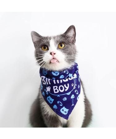 Cat Birthday Bandana & Hat Set | Cute Doggie Party Decorations | Blue - Buy Online on GoSupps.com
