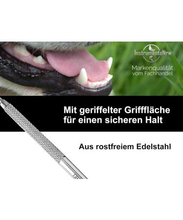 Tartar Remover Dog Scaler | Stainless Steel Tooth Cleaner for Pets | Dental Cleaning Tool | Toothbrush Replacement (Type 22) - Buy Online on GoSupps.com