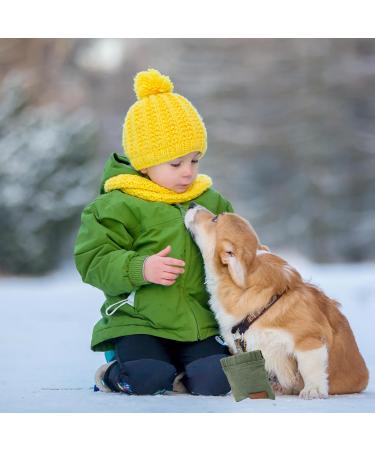 Fantesi Portable Dog Training Treat Bag - 2 Pcs Hands-Free Snack Dispenser with Carabiner for Easy Walking & Feeding - Buy Online on GoSupps.com
