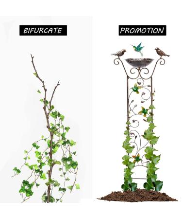 Kolibri 2-in-1 Wet Moss Bird Potions & Garden Trellis - Metal Bird Water Dispenser & Retro Stand Feeder for Outdoor Garden Decoration - Buy Online on GoSupps.com