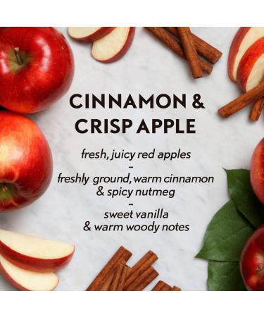 Air Wick Essential Oils Diffuser Mist Refill - Cinnamon & Crisp Apple | 1ct Air Freshener | International Shipping Available - Buy Online on GoSupps.com