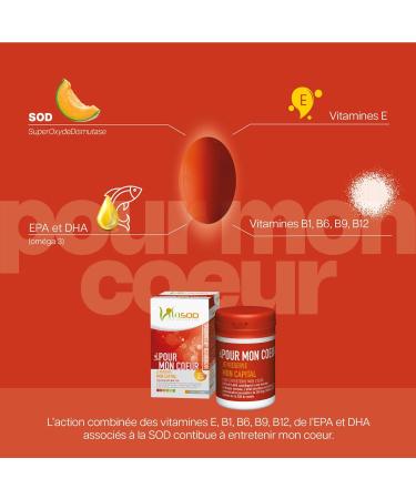 Vita POUR-MON-COEUR SOD de melon Compl ment alimentaire pour entretenir le c ur et le syst me circulatoire Vitamines B1 B6 B9 B12 Om ga3 (EPA et DHA) 60 Capsules - Buy Online on GoSupps.com