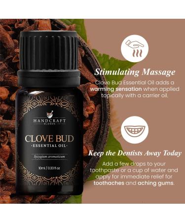 Handcraft Blends Clove Bud Essential Oil - 100% Pure Natural & Premium - Essential Oil for Diffuser & Aromatherapy - 0.33 Fl Oz - Buy Online on GoSupps.com