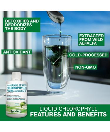 Liquid Chlorophyll Apple 5X Concentrated 500ml Cold Extracted from Non-GMO Alfalfa - Detox - Alkaline - Natural Body Deodorant Antioxidant - Made in Canada - Buy Online on GoSupps.com