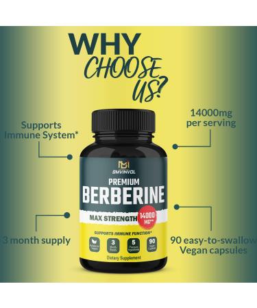 5-in-1 Berberine 14000mg with Ceylon Cinnamon, Milk Thistle, Turmeric & Artichoke - Immune & Heart Support - 3 Month Supply - Buy Online on GoSupps.com