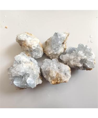 100g Real Natural Celestite Geode Quartz Cluster Diffuser Oils Crystal Specimen Cluster Specimen for Decoration JITZEGMD (Color : 90-100g Size : 2-3cm) 2-3cm 90-100g - Buy Online on GoSupps.com