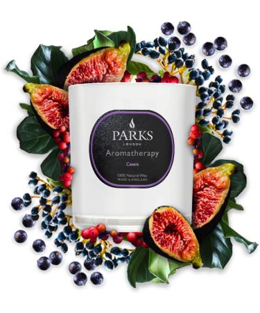 Aromatherapy Candle 220g - Cassis Scent | Fresh & Fruity | 45 Hour Burn Time - Shop Internationally - Buy Online on GoSupps.com
