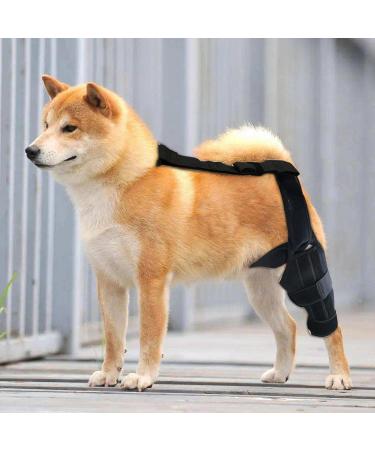 Dog Behind Leg Brace | Professional Knee Support Brace | Rear Leg Stabilizer for Small Dogs Neoprene Hip Brace with Adjustable Traction Belt for Cruciate Ligament Injury Joint M left - Buy Online on GoSupps.com
