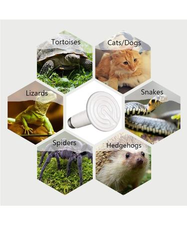 BOEESPAT Ceramic Heat Emitter Bulb 2 Pack - 60W100W150W for Reptiles & Pets - No Light, Safe Heat for Amphibians, Snakes, Birds & Poultry - Buy Online on GoSupps.com