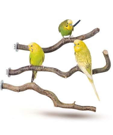 Bird Gallery 3 Perches for Budgies Natural Wood Perches Budgie Accessories Bird Accessories