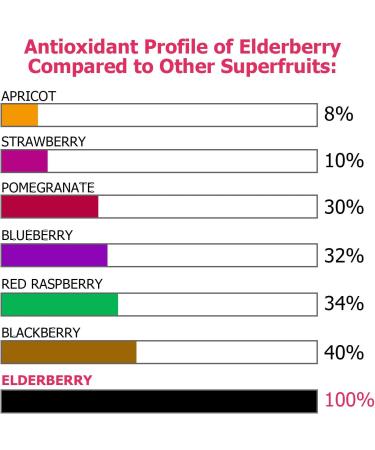 Elderberry Capsules with Zinc & Vitamin C - 120 Capsules for Immune Support & Skin Health - Buy Online on GoSupps.com