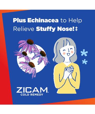 Zicam Cold Remedy Zinc Rapidmelts Lemon-Lime with Echinacea 25 Count - Fast Relief for Colds | Pack of 1 - Buy Online on GoSupps.com