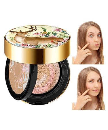 Makeup Cushion | Moisturizing Foundation Concealer with Air Cushion Mirror Non-greasy,Makeup Products for Home, Meeting, Dating, Travel, Work, Boiler
