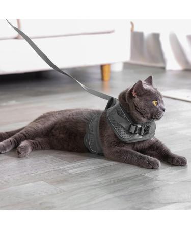 Premium Cat Dishes with Leash - Outbreak-Proof Set with Reflective Harness for Kittens - Gray Small - Buy Online on GoSupps.com