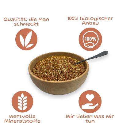 Organic Brown Millet - Natural Superfood | 100% Austrian Whole Grains (1Kg) - Healthy Diet Online - Buy Online on GoSupps.com