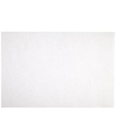 Sax Sulphite Drawing Paper, 80 lb, 9 x 12 Inches, Extra-White, Pack of 500