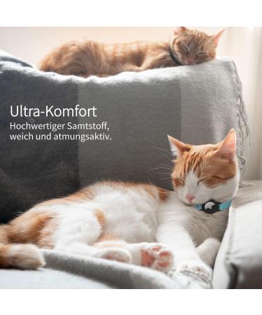 Buy Airtag Cat Neck Band - Soft GPS Collar with Bracket & Bell for Girls/Young Cats (XS Blue) - International Shipping Available - Buy Online on GoSupps.com