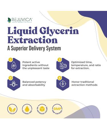 Active Adrenal + NoctuRest - Supports Adrenal Health + Sleep- Liquid Delivery for Better Absorption - Rhodiola Hops Holy Basil Melatonin Ashwagandha & More! - Buy Online on GoSupps.com
