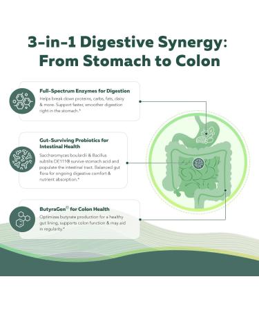 Flora Digest - 3-in-1 Max Strength Digestive Enzymes + Gut Surviving Probiotics & ButyraGen Postbiotic for Optimal Digestion Bloating Relief Regularity Gut Lining & Colon Support - (30 Capsules) 30 Count (Pack of 1) - Buy Online on GoSupps.com