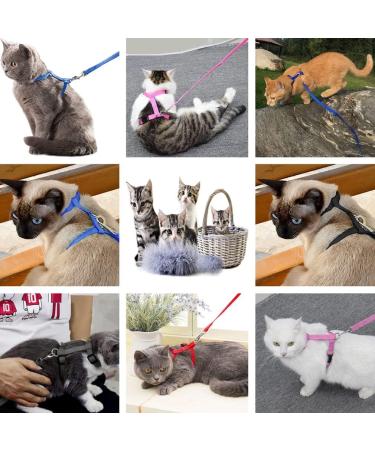 Morices 2 Pack Cat Harness and Leash Adjustable Comfortable Nylon Pet Strap Collar with Leash Escape Proof Safety Rope Leads Chest Strap for Kitten Puppy Rabbits Walking Training (Pink & Purple) Pink+Purple - Buy Online on GoSupps.com