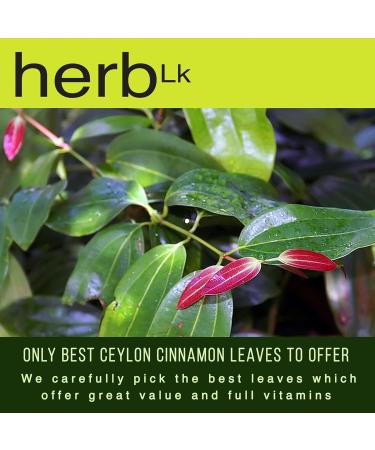 HerbLk Premium Ceylon Cinnamon Dried Leaves (0.5 Oz / 15g) 30+ Whole Leaves 100% Natural Leaves Loose Leaf Tea Organic No Additives No Caffeine Vegan Non-GMO From Sri Lanka - Buy Online on GoSupps.com