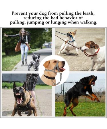 Premium Dog Handlebars for Medium & Large Dogs | Soft Upholstery & Durable Halter - Includes Training Instructions | XL Gray - Buy Online on GoSupps.com