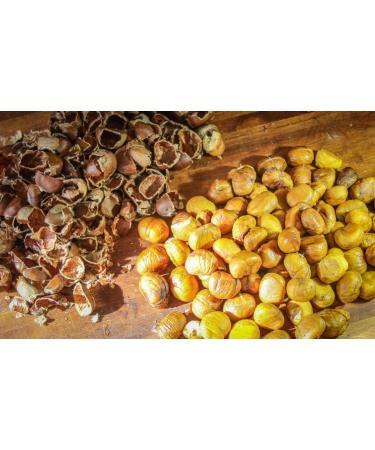 Organic Roasted Chestnuts - Shelled Ready to Eat Snack | Gluten Free 100% Vegan | No Preservatives | Great for Snacking Baking Cooking & Turkey Stuffing | 3.5oz Bags (Pack of 3) - Buy Online on GoSupps.com