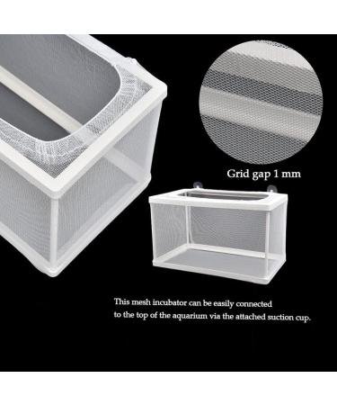 Trinidad Fish Breeding Box - Large Isolation & Nursery Container with Suction Cup for Tropical Guppies - Buy Online on GoSupps.com