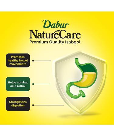 Dabur Nature Care Isabgol - 375 g - Buy Online on GoSupps.com