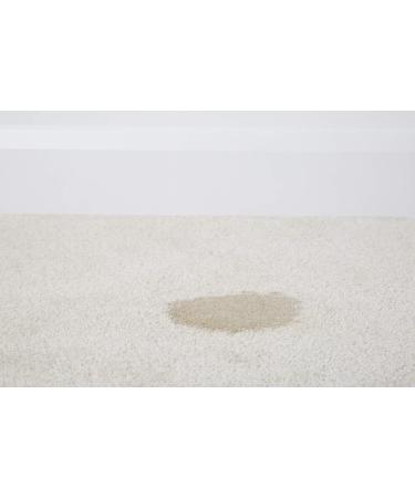 1001 Pet Stain and Odour Remover Tough On Stubborn Stains Gentle On Rugs Upholstery and Carpets Pack of 6 500 ml - Buy Online on GoSupps.com