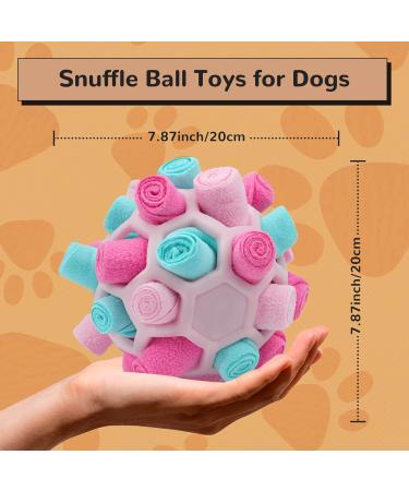 Shop Larimuer Sniffing Ball for Dogs - Interactive Snuffle Toy for Small & Medium Dogs | Portable Summer Pink Sniffing Car Toy - Buy Online on GoSupps.com