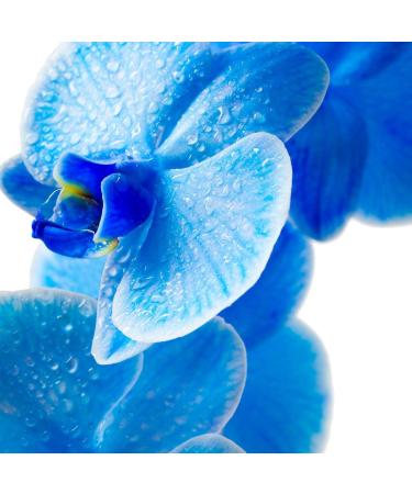 Pour Moi Blue Serum - Climate-Smart Anti-Aging Formula with Hyaluronic Acid Retinol & Vitamin C | Shop Internationally - Buy Online on GoSupps.com