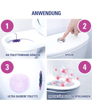 Cillit Bang 6in1 Toilet Budder - Wild Orchid Toilet Water Purple - 3 Pack for Fresh & Clean Toilet with Every Flush - Buy Online on GoSupps.com